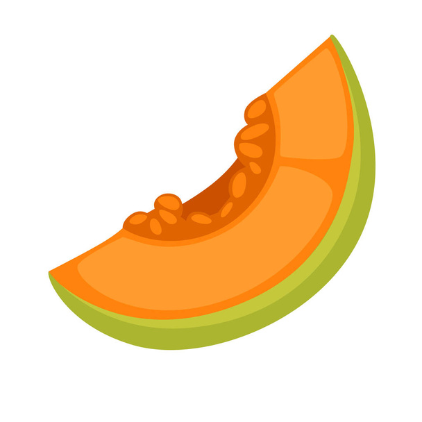Slice of fresh melon - Вектор, зображення