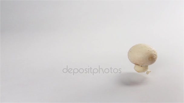 Kilka świeżych grzybów objętych i odbijając się na białej powierzchni - Materiał filmowy, wideo
