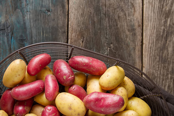 Body multicolored potatoes, Dark background. The farm market. Fo - Φωτογραφία, εικόνα