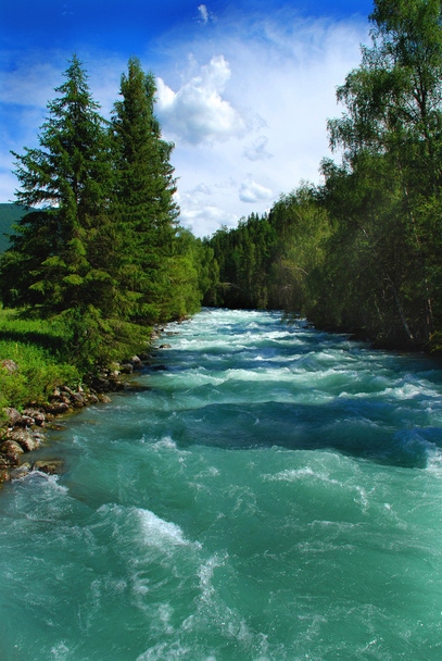 Mountain river Kucherla 2 - Фото, зображення