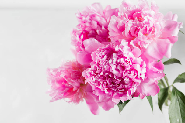 rózsaszín bazsarózsa virág egy fehér háttér - Fotó, kép