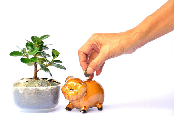 Hand of people holding coin and drop into the piggy bank beside  - Photo, Image