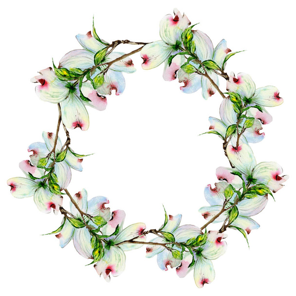 Wildflower dogwood flower wreath in a watercolor style isolated. - Foto, immagini