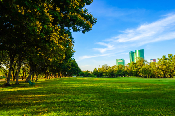 市公園青い空、緑のシーン、自然の背景に緑の牧草地分野 - 写真・画像