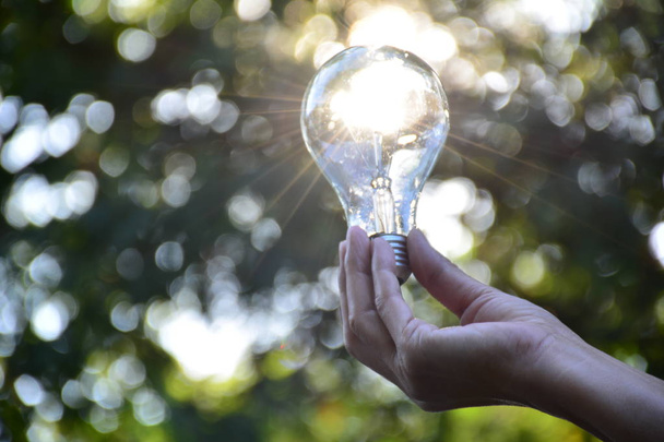 Hand of person holding light bulb for idea or success or solar e - Foto, immagini