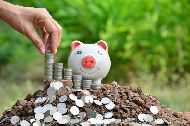 Financiën stapel munten en piggy bank op natuur achtergrond - Foto, afbeelding