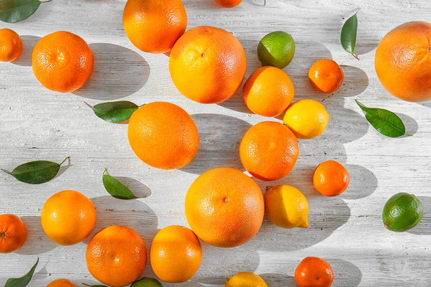 fresh citrus fruits  - Фото, зображення