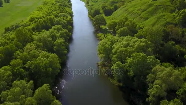 Lot nad rzeka Seim, Ukraina otoczony drzewami - antenowe filmowania - Materiał filmowy, wideo