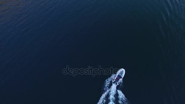 Prędkość ponton dużą prędkością pływających na morzu. Zatoka Kotor w Mont - Materiał filmowy, wideo