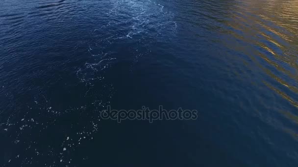 Vitesse dériveur à grande vitesse naviguant sur la mer. Baie de Kotor à Mont
 - Séquence, vidéo