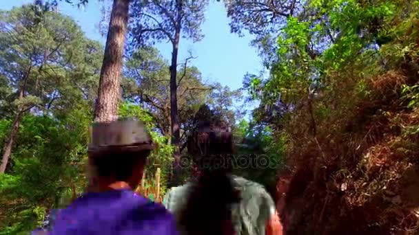 Familia caminando en el bosque - Felvétel, videó