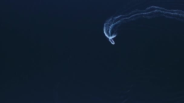 Ταχύτητα λέμβο στο υψηλής ταχύτητας πλέουν στη θάλασσα. Κόλπος Κότορ σε Μον - Πλάνα, βίντεο