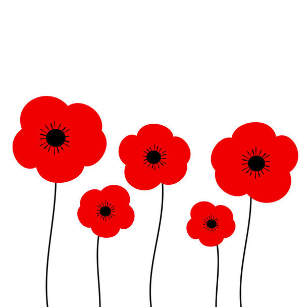 poppies vector illustration isolated on white background - Vector, Image
