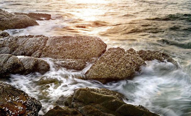 澄んだ海の水の石. - 写真・画像