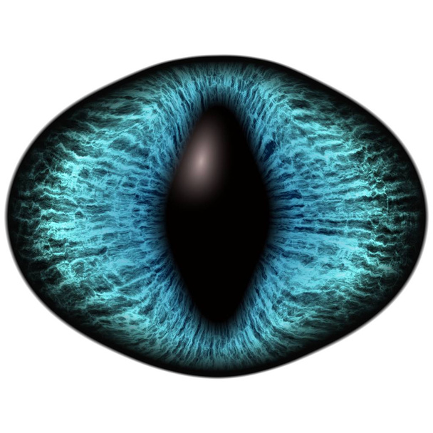 Vreemd blauw oog van katachtig dier met gekleurde iris. Detailweergave in geïsoleerde roofdier oog lamp - Foto, afbeelding