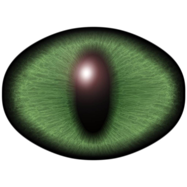 Vreemde groene oog van katachtige dier met gekleurde iris. Detailweergave in geïsoleerde predator oog lamp - Foto, afbeelding