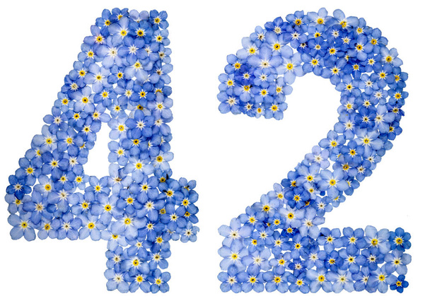 Арабская цифра 42, сорок два, из голубых цветов "Забудка"
 - Фото, изображение