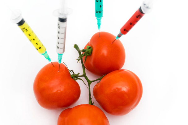GMO koncepció fecskendők és a paradicsom, fehér alapon. - Fotó, kép