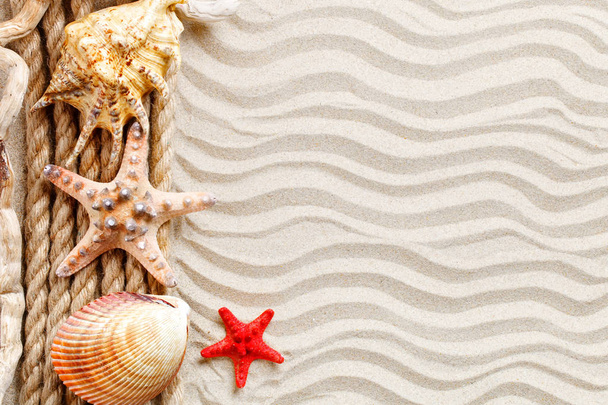 Starfish, seashells, sea stones and palm leaves lying on the sea sand . There is a place for labels. - 写真・画像