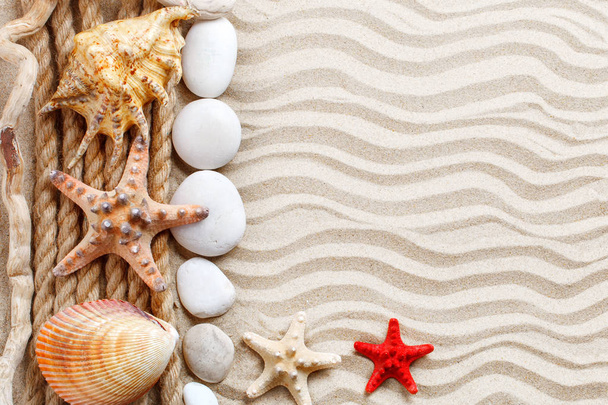Rozgwiazdy, muszle, kamienie morze i palmy liści leżące na piasku morskiego. Tam jest miejsce dla etykiet. - Zdjęcie, obraz