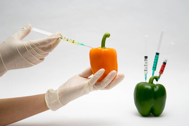 GMO experimentu vědec injekční kapalina do pepře na bílé b - Fotografie, Obrázek