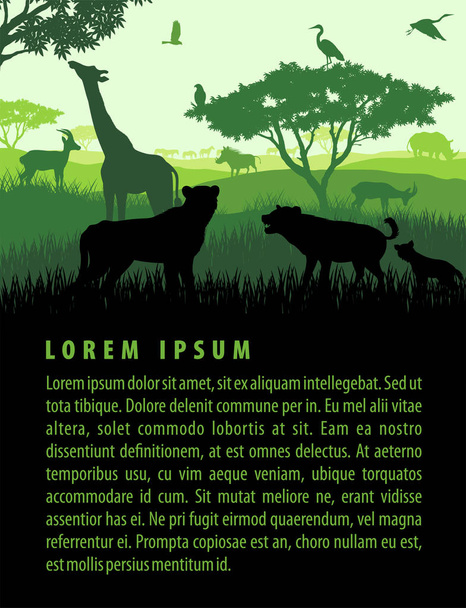 Ilustracja wektorowa Afrykańska Sawanna safari krajobrazu z dzikich zwierząt w zachód projekt szablonu - Wektor, obraz