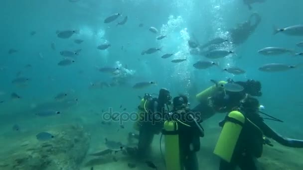 Mergulhadores e Peixes
 - Filmagem, Vídeo
