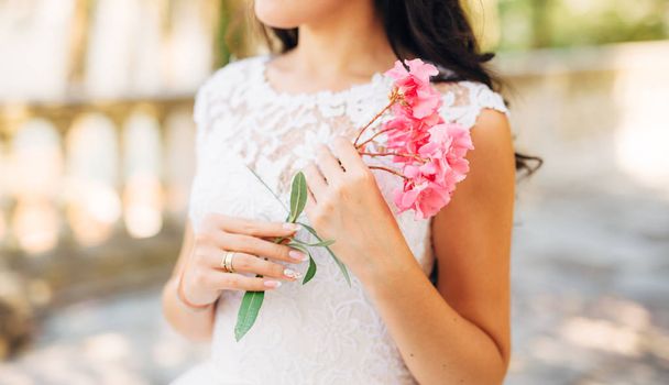 Цветок олеандра в руках девушек
 - Фото, изображение