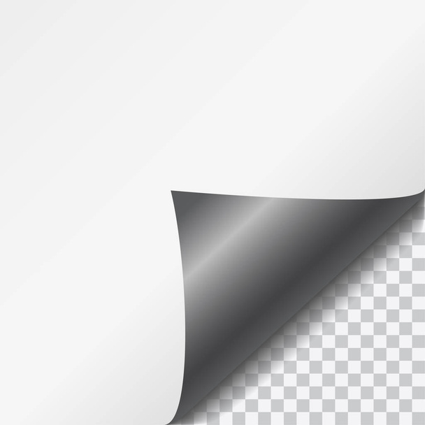 Vector zwart glanzende gekrulde papier hoek met transparante achtergrond en ruimte voor tekst - Vector, afbeelding