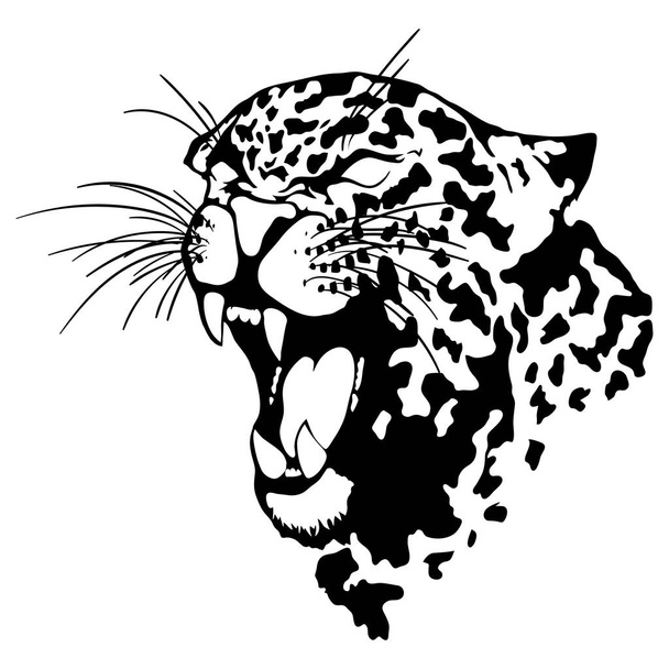 Изолированная иллюстрация головы леопарда
 - Вектор,изображение