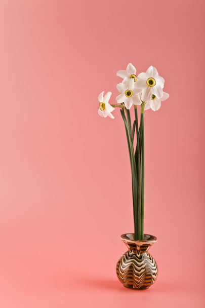 jarní květy narcisů - Fotografie, Obrázek