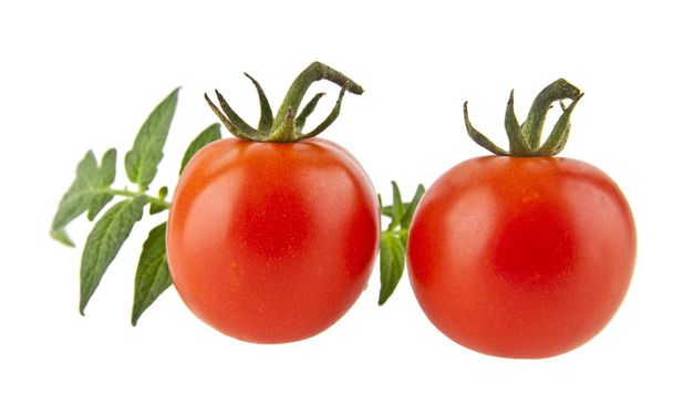 Tomates aislados sobre fondo blanco
 - Foto, Imagen