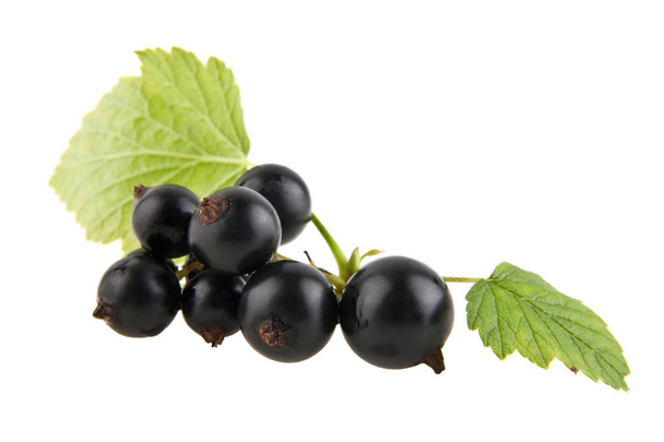 black currants isolated on white background - Foto, Imagen