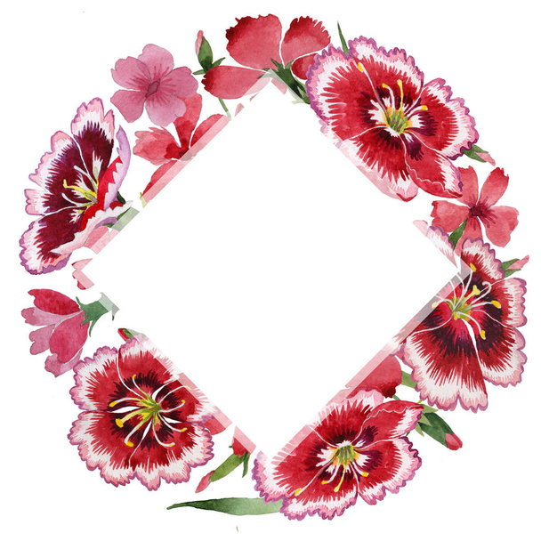 Fiore di garofano cornice fiore in stile acquerello isolato
. - Foto, immagini