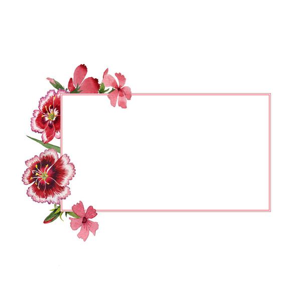 Wildflower obalečem květinový rámeček ve stylu akvarelu, samostatný. - Fotografie, Obrázek