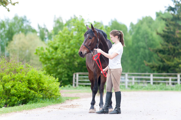 proprietario equestre adolescente ragazza mostrando cavallo corretta formazione
 - Foto, immagini