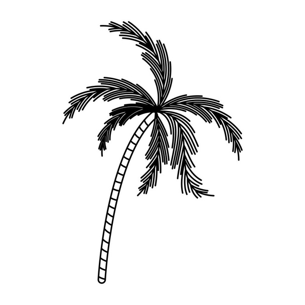 palmiye ağacı ile siyah siluet - Vektör, Görsel