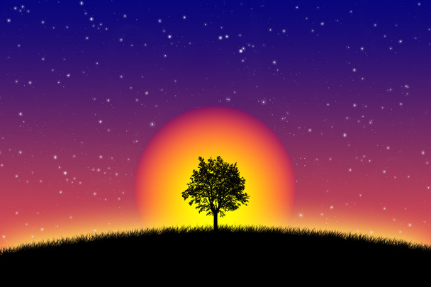 図は日の出で孤独な木 - 写真・画像