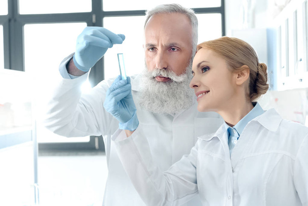 científicos con batas blancas en el laboratorio
 - Foto, Imagen