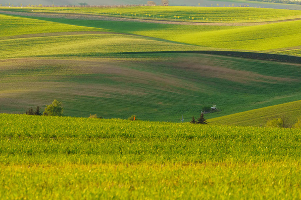 Moravian Tuscany in the Czech Republic - Foto, imagen