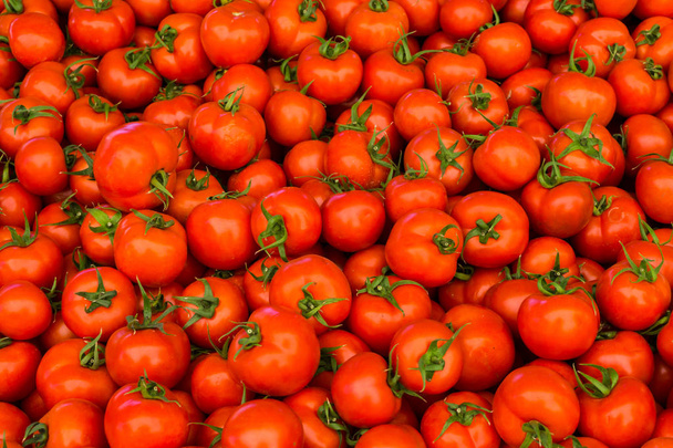 Gruppe roter Tomaten - Foto, Bild
