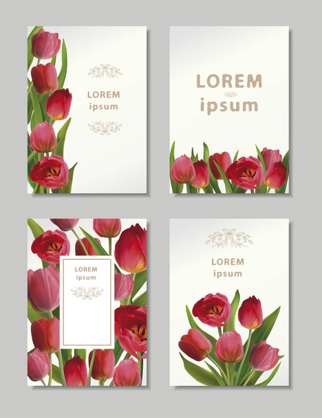 kulatá tulipány - Vektor, obrázek