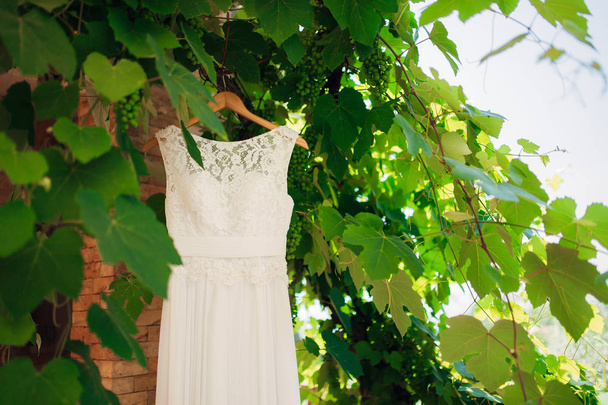 The brides dress on a hanger in the green - Fotoğraf, Görsel