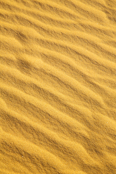 коричнева піщана дюна в пустелі сахарського марокко
  - Фото, зображення