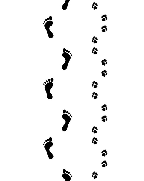  pies y patas
 - Vector, imagen