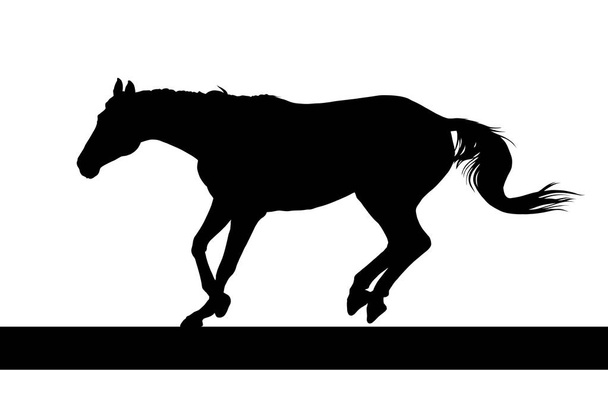 векторная иллюстрация лошадиного силуэта - Вектор,изображение