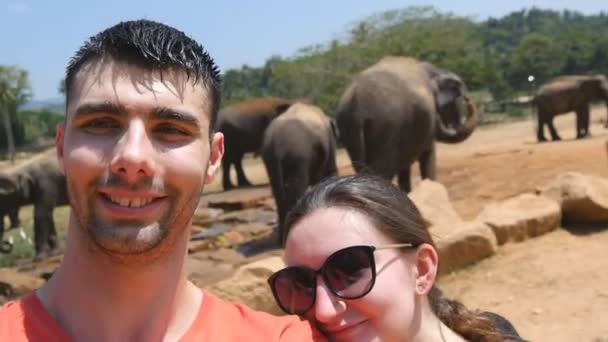 junges lächelndes Paar beim Selfie-Foto mit Elefanten in der Umgebung des Reservats in Sri Lanka - Filmmaterial, Video