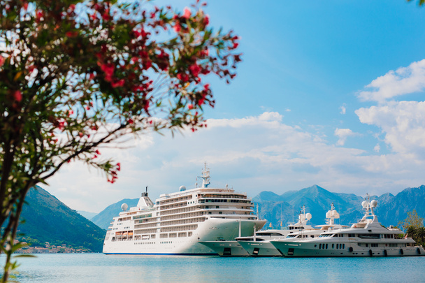 Cruise liner in de Boka baai van Kotor - Foto, afbeelding