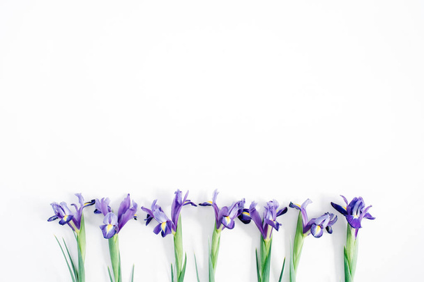 Beautiful purple iris flowers - Photo, Image