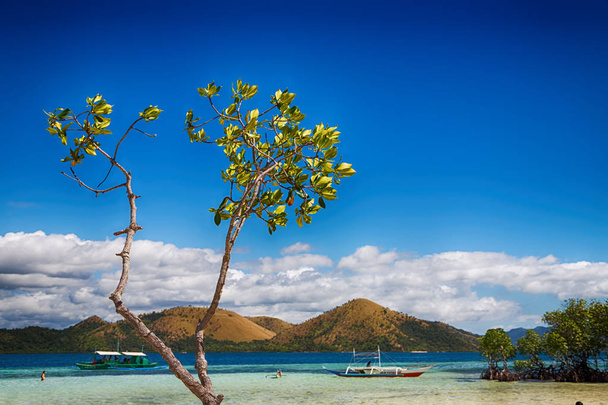 на Филиппинском острове красивый косатлайн дерево холм и лодка для туристов
 - Фото, изображение